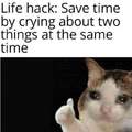 Hack: save time by crying about two things at the same time