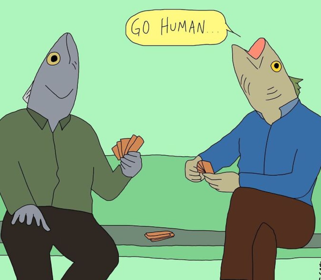 How fish play go fish - meme