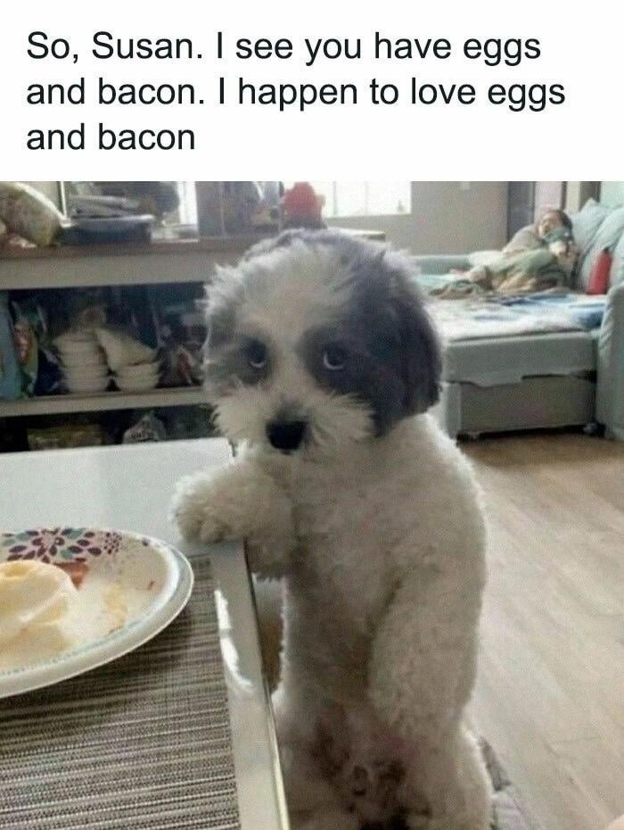 Susan, I see your eggs and bacon. I love them too. - meme
