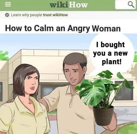 wikiHow: How to calm an angry woman... step 1: offer plant - meme