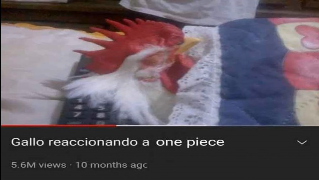 Hola - meme