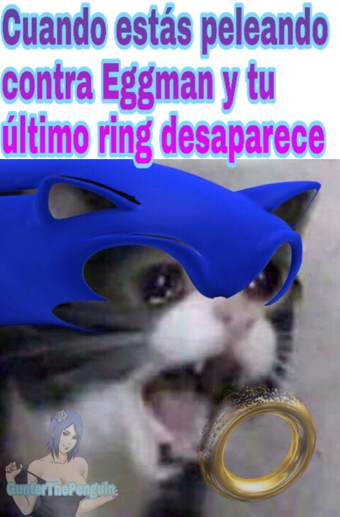 El mejor edit que pude hacer para que pareciera Sonic - meme
