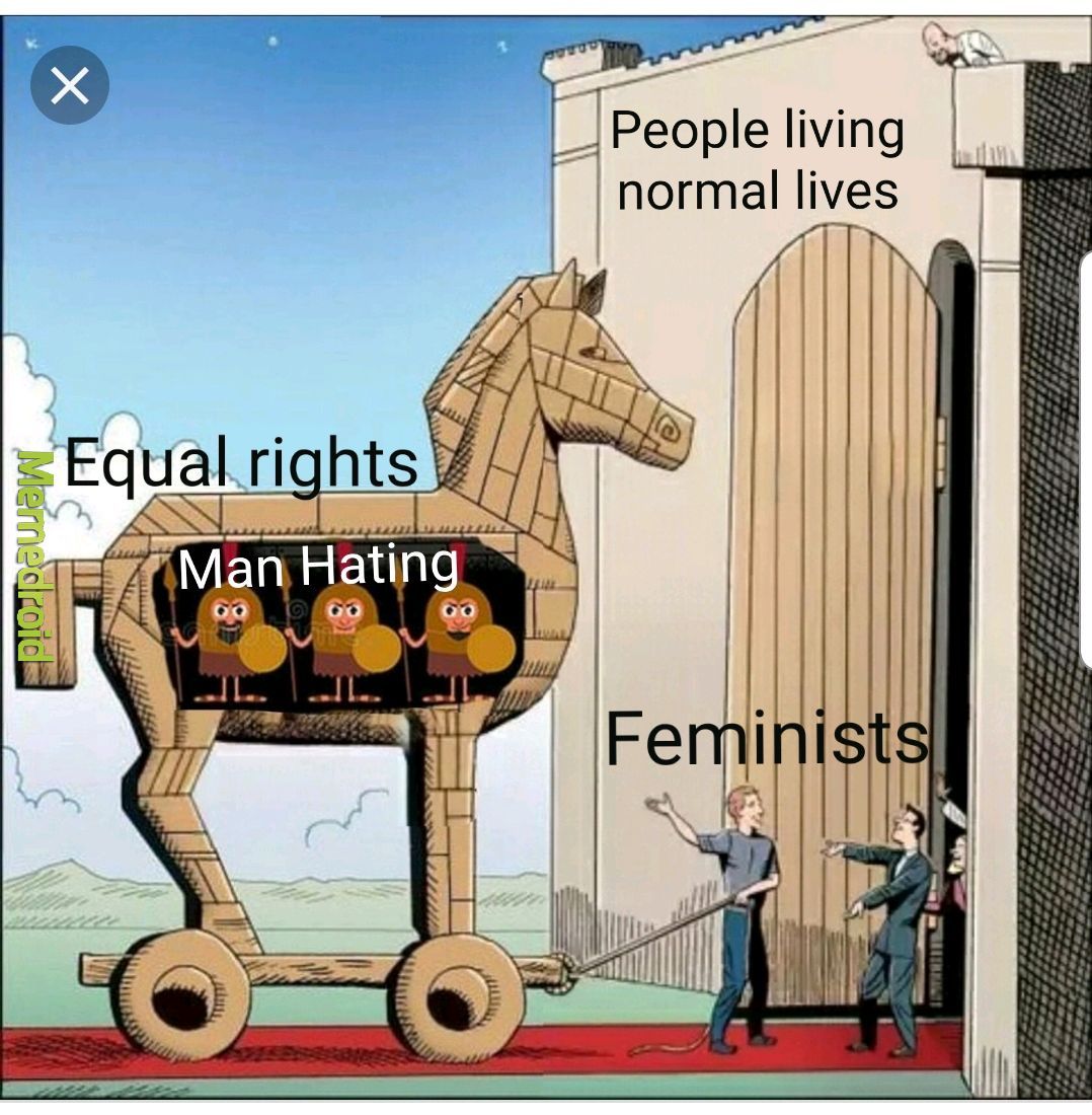 Feminism - meme