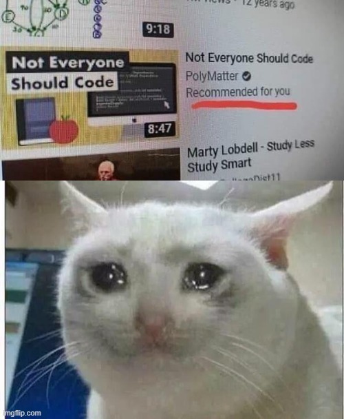 Not everyone should code - meme