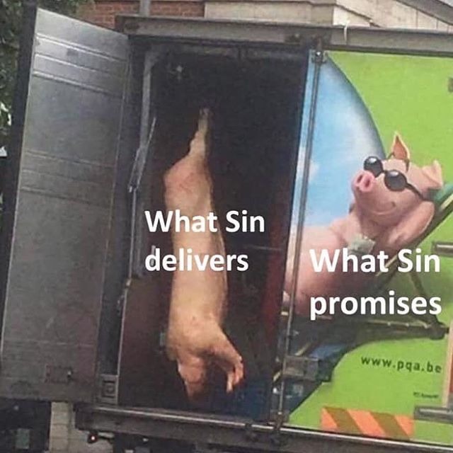 dongs in a sin - meme