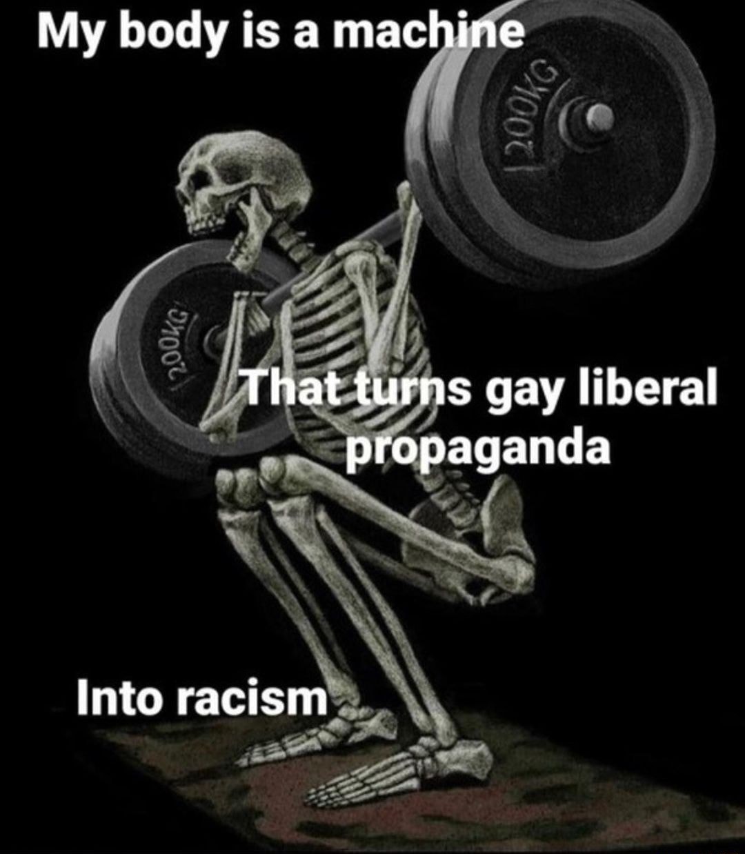 Liberal propaganda - meme