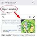 commented item thumbnail