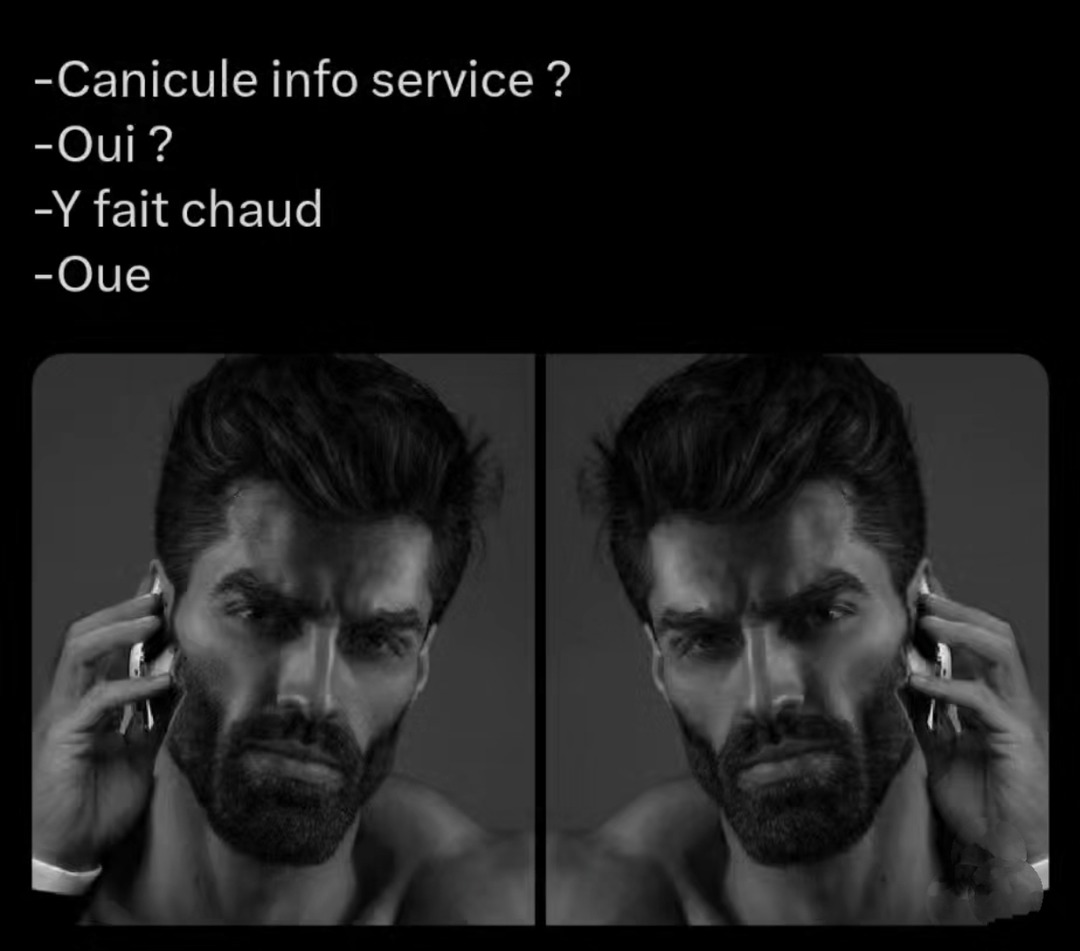 Canicule info 2025 - meme