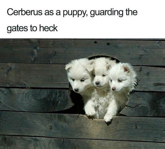 Cerberus as a puppy, guarding the gates to heck - meme