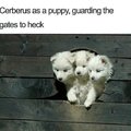 Cerberus as a puppy, guarding the gates to heck