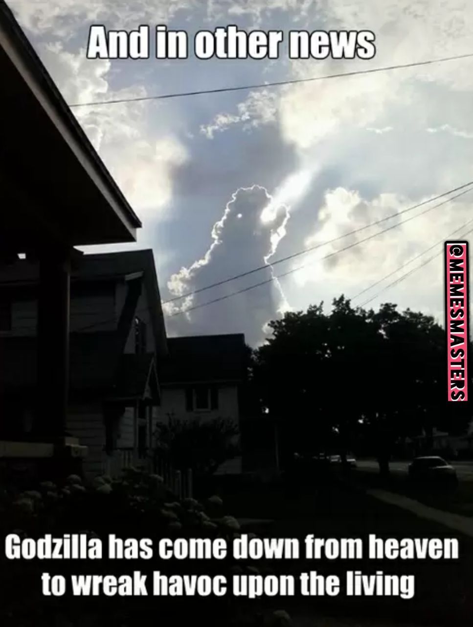 Hail Godzilla - meme