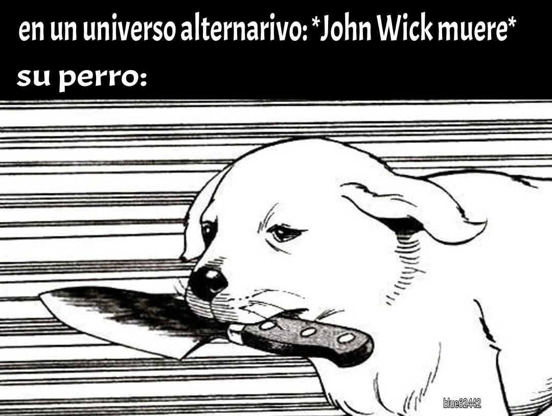 DOG WICK - meme