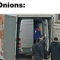 onions layers
