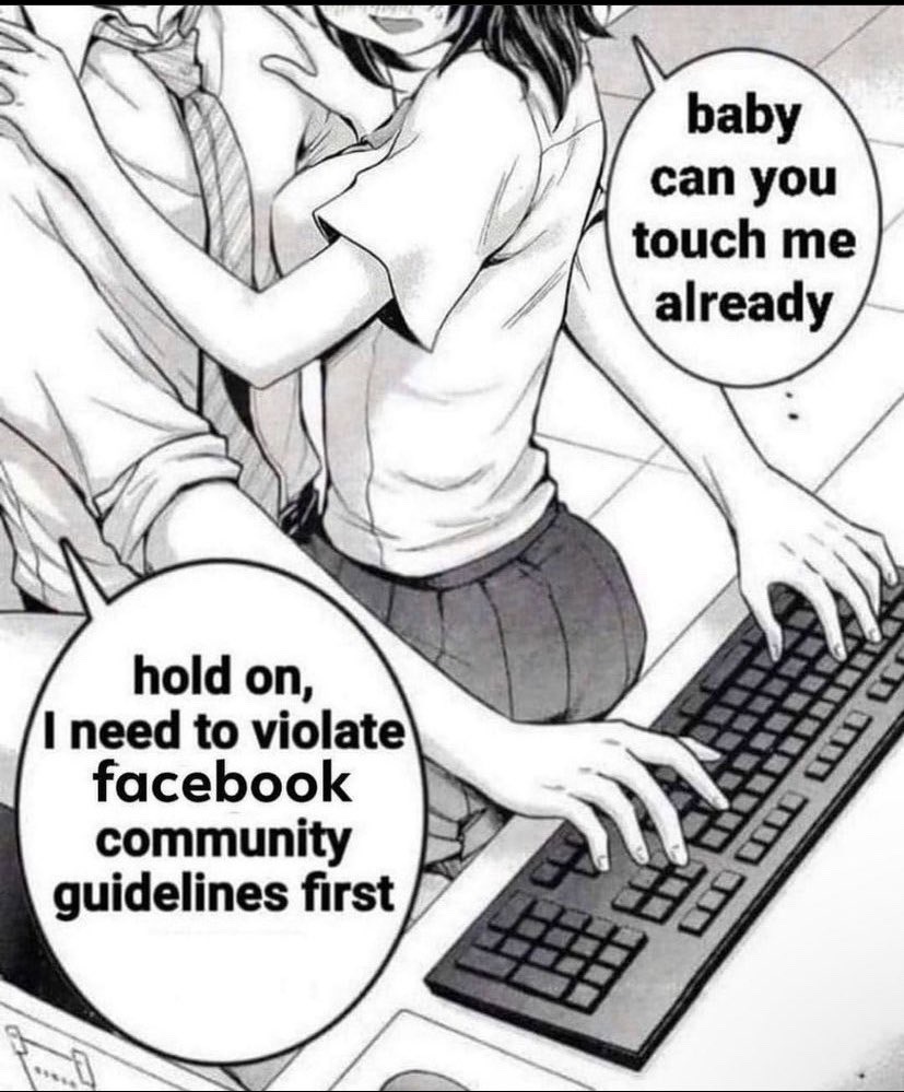 Facebook community guidelines - meme