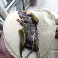 ¿Quién come ratatouille? Suena a rata y a mandril