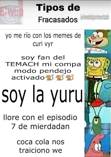 Tipos de fracasados - meme