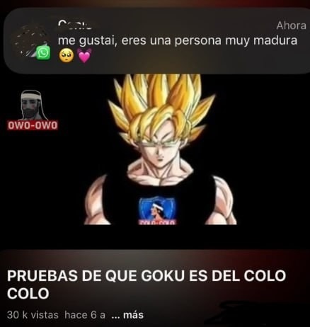 Pruebas irrefutables de que Goku es del Colo Colo - meme