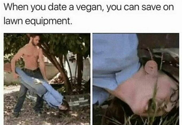 Date a vegan and mow the lawn with they - meme