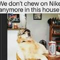 We don't chew on Nikes anymore in this house