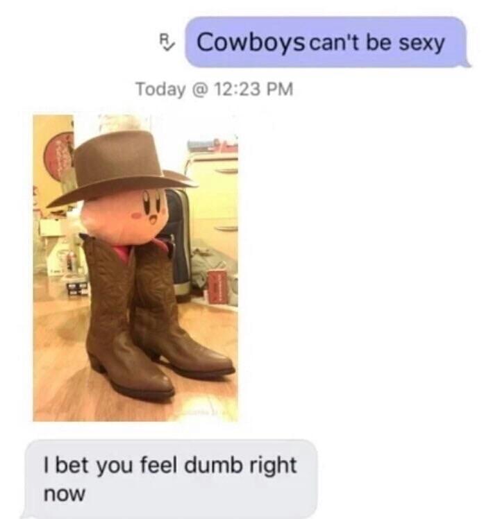 Sexy cowboys - meme