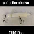 Thot fish