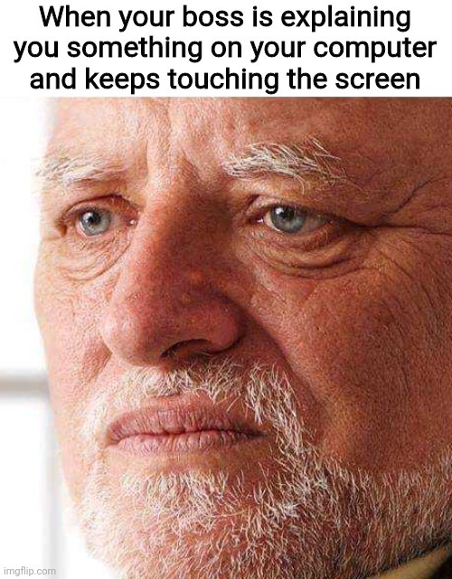 When your boss is explaining you something on your computer and keeps touching the screen - meme