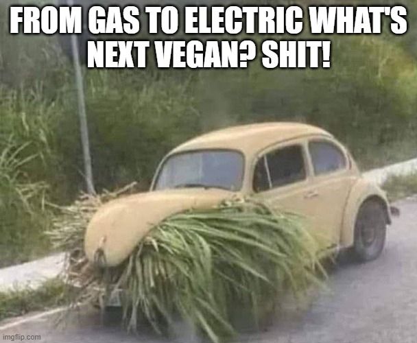 Vegan Bugs - meme