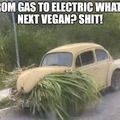 Vegan Bugs