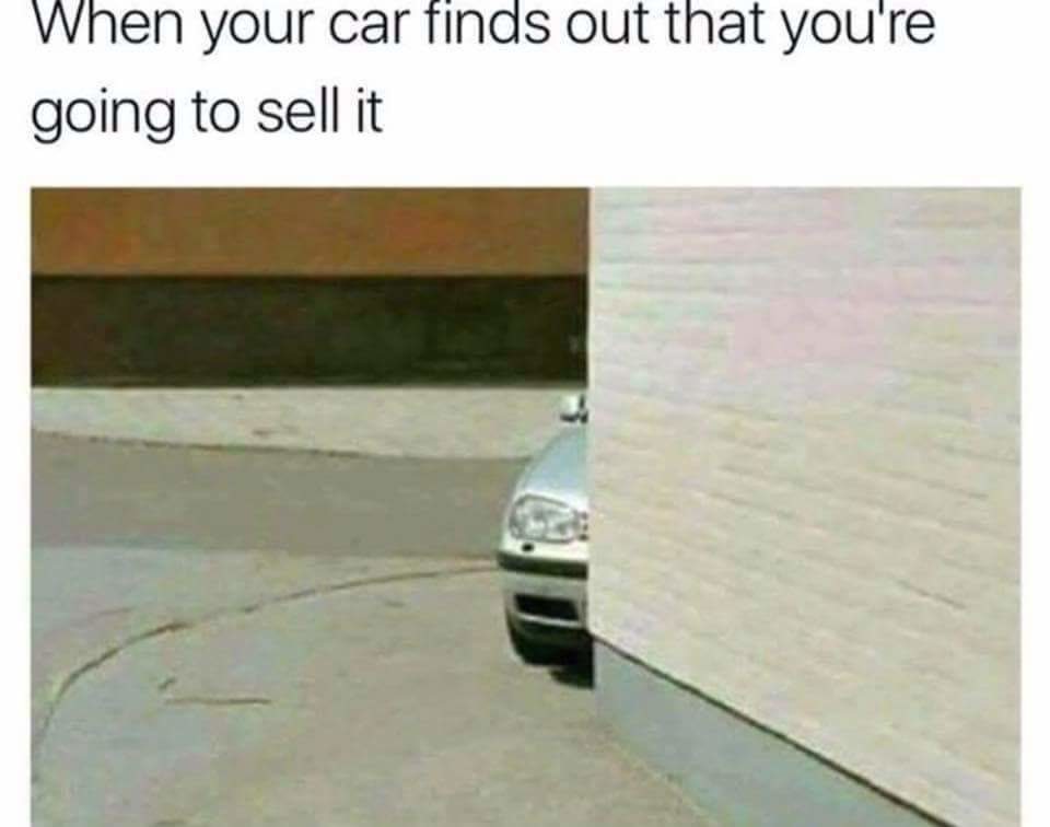 VW - meme
