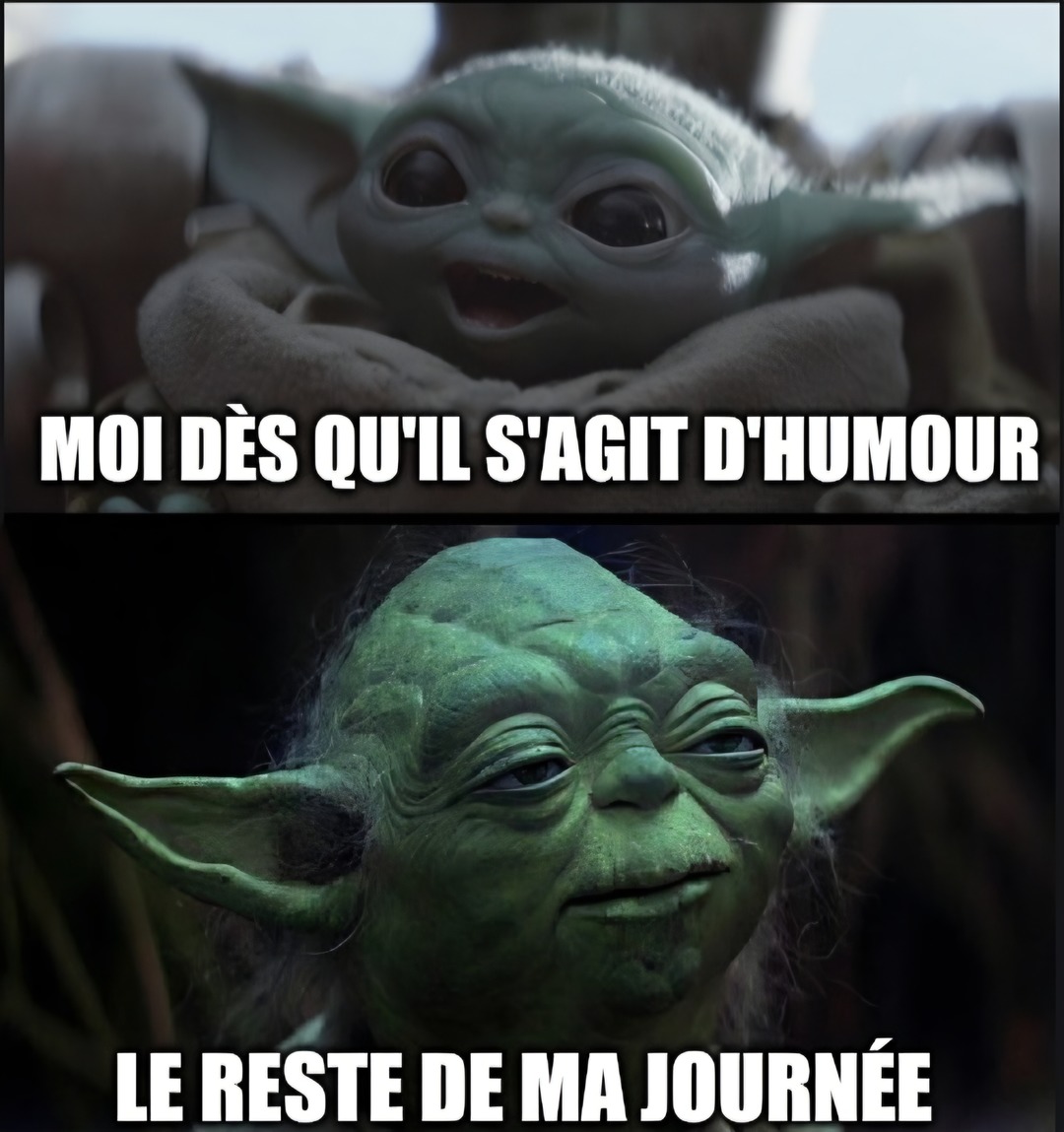 Rempli de souffrances ce monde est, le chemin de la sagesse emprunter tu dois! - meme