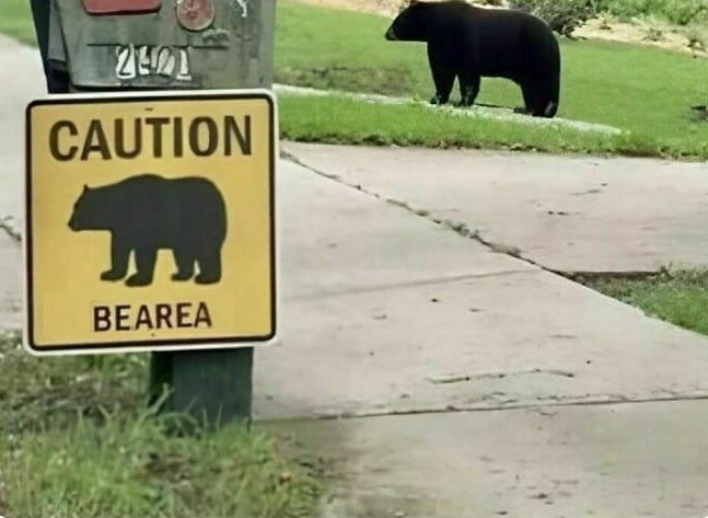 ﻿P2um) CAUTION BEAREA