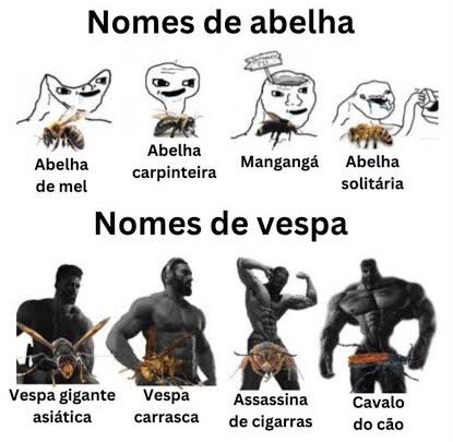 abelha abelhudo - meme