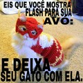 Flash gato