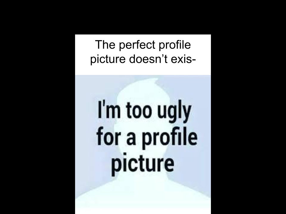 The perfect profile pic - meme