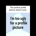 The perfect profile pic