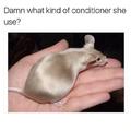 Rat hair conditioner