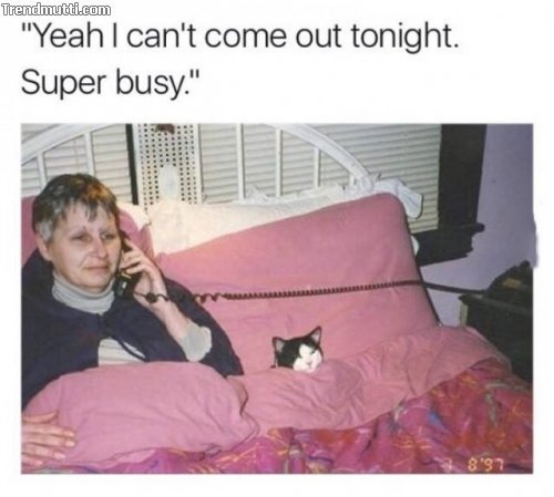 Super busy, yes - meme