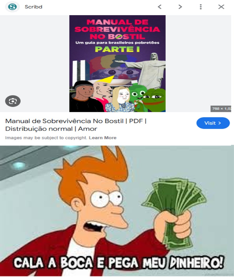 recomendo pra quem tá cansado desse país - meme