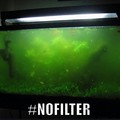 #nofilter