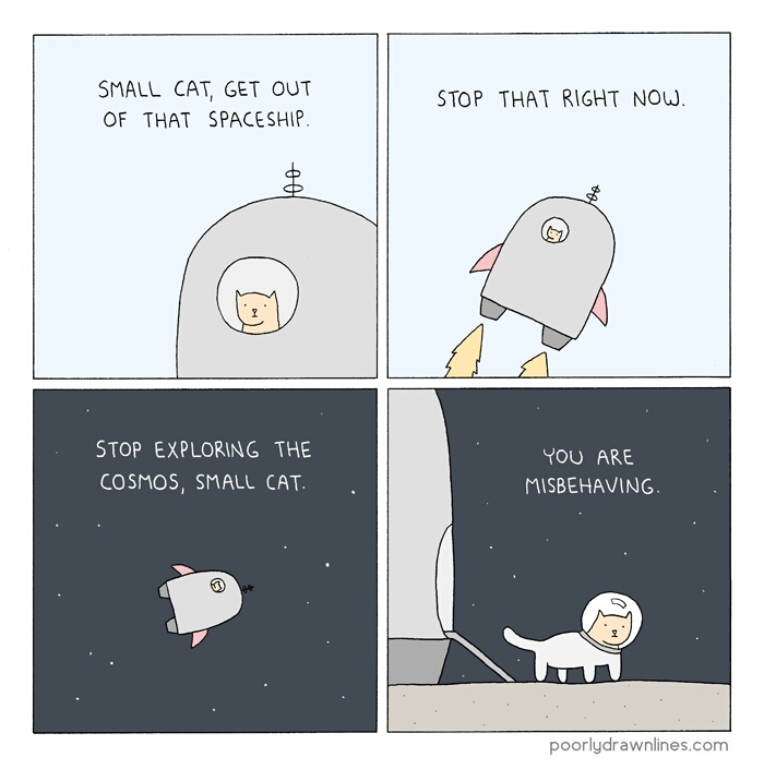 space cat is my cat - meme