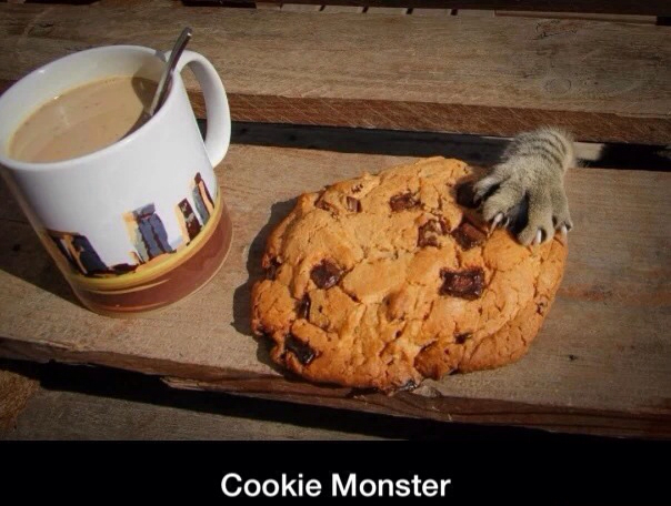 Cookie monster - meme