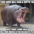 imagine fucking a hippos mouth :scaredyao: