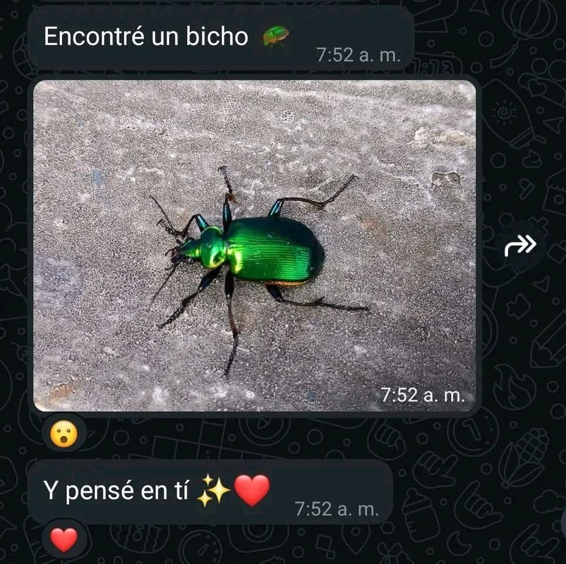 Cuando ves un bicho y piensas en esa persona - meme