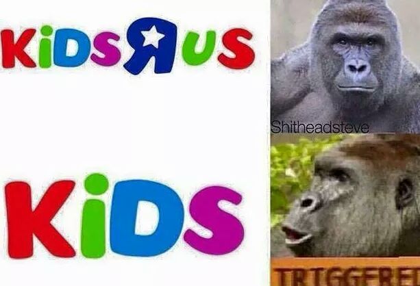 the last Harambe meme that needs posted