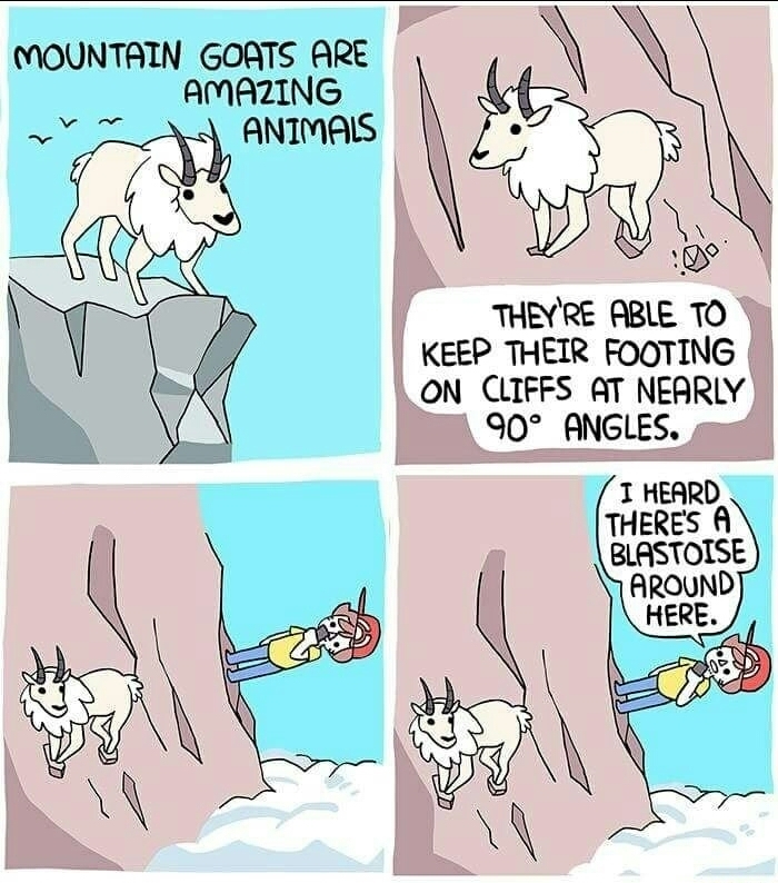 Mountain Goat GO - meme