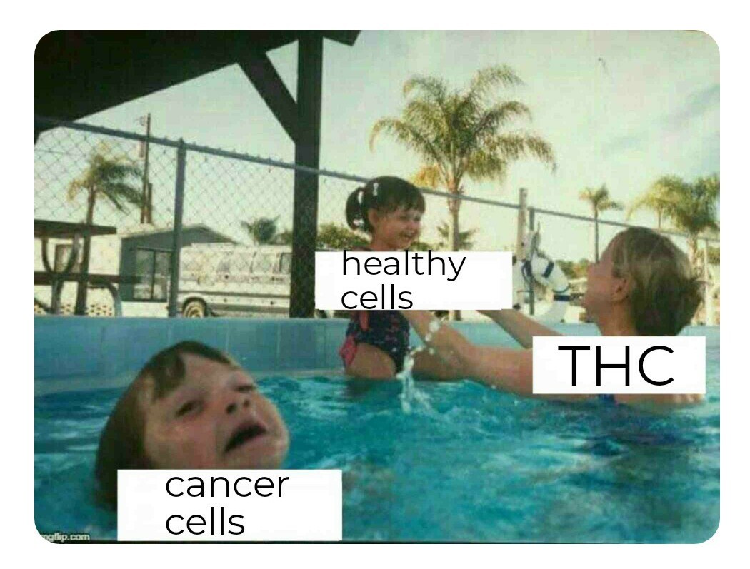 THC cures cancer - meme