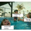 THC cures cancer