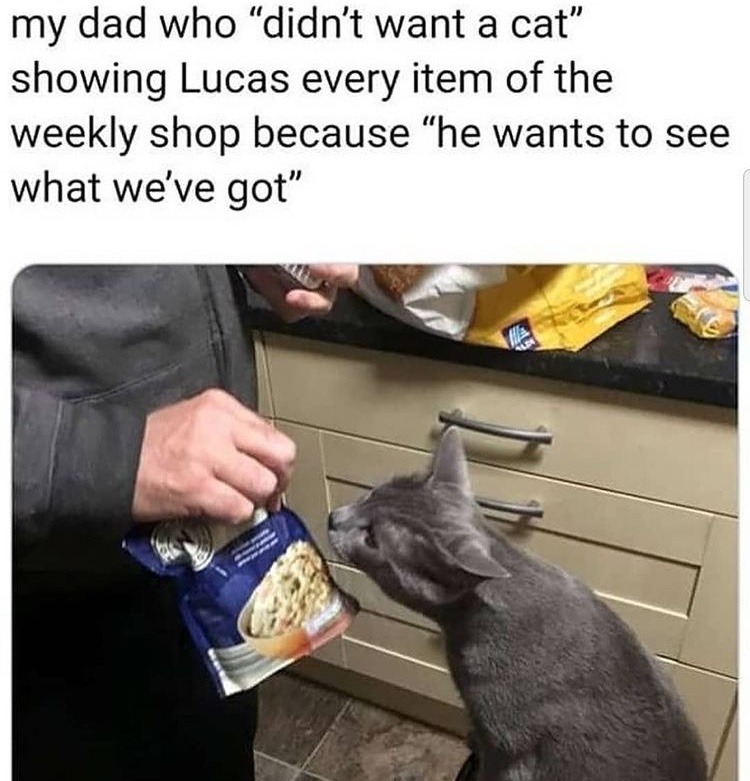 Lucas checks the goods - meme
