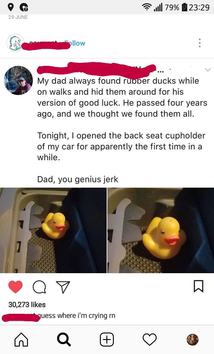Wholesome duck..... - meme