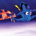 Me and the boys trying to find Nemo be like